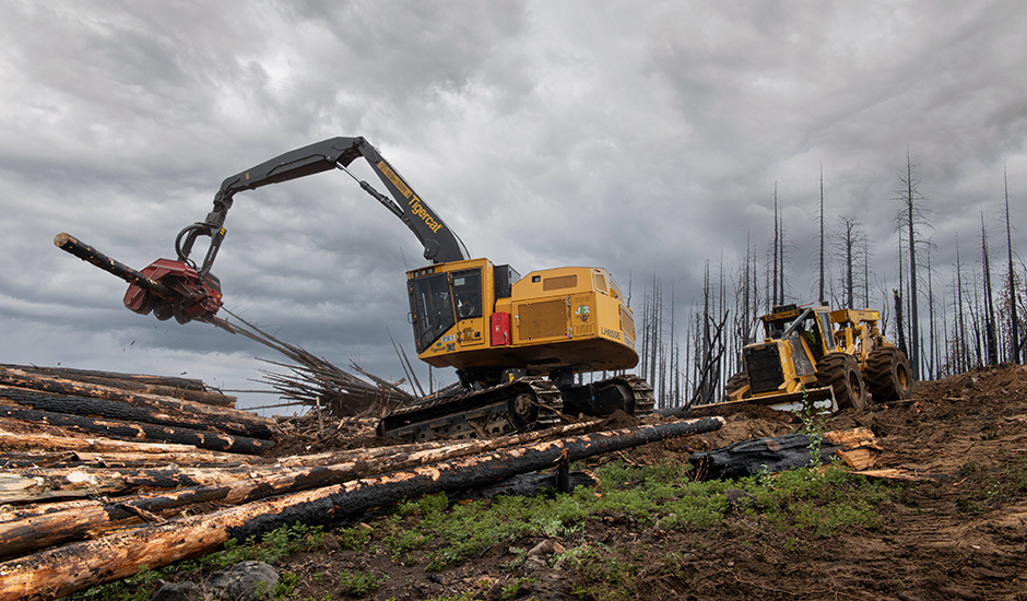 Des machines Tigercat en pleine opération de récupération après incendie.