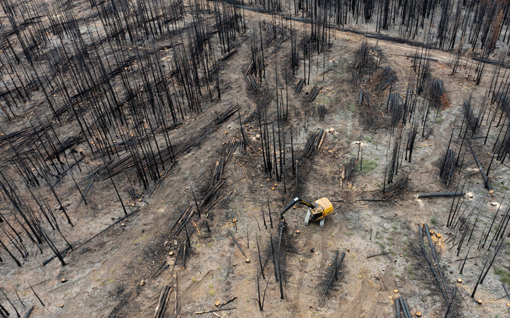 Aerial view of a salvage logging operation after the Dixie fire in California.