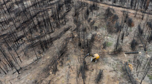 Aerial view of a salvage logging operation after the Dixie fire in California.