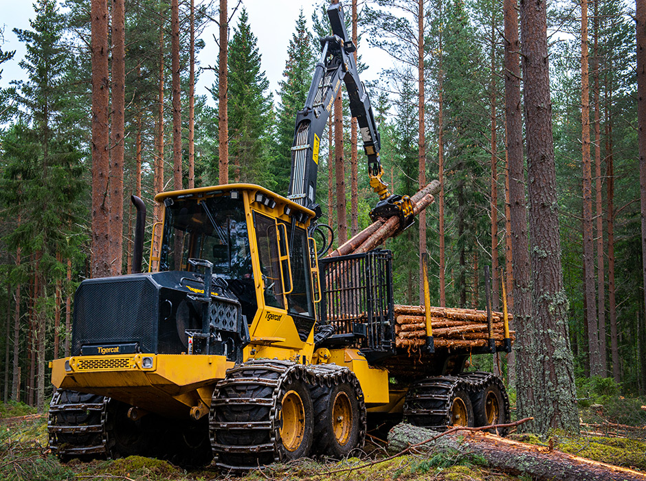 Transporteur Tigercat dans la forêt suédoise