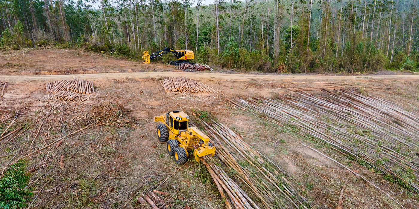 Skidder in the field