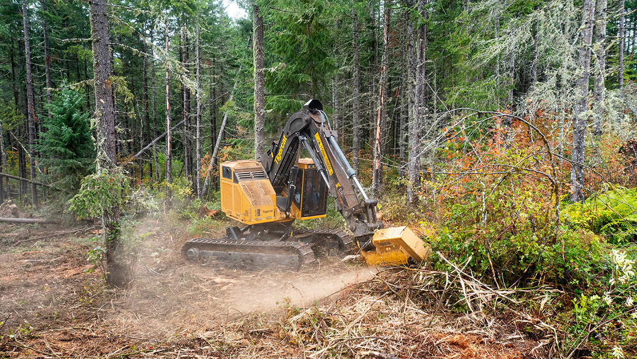 Tigercat LX830E with 4161-15 mulching head working in the field