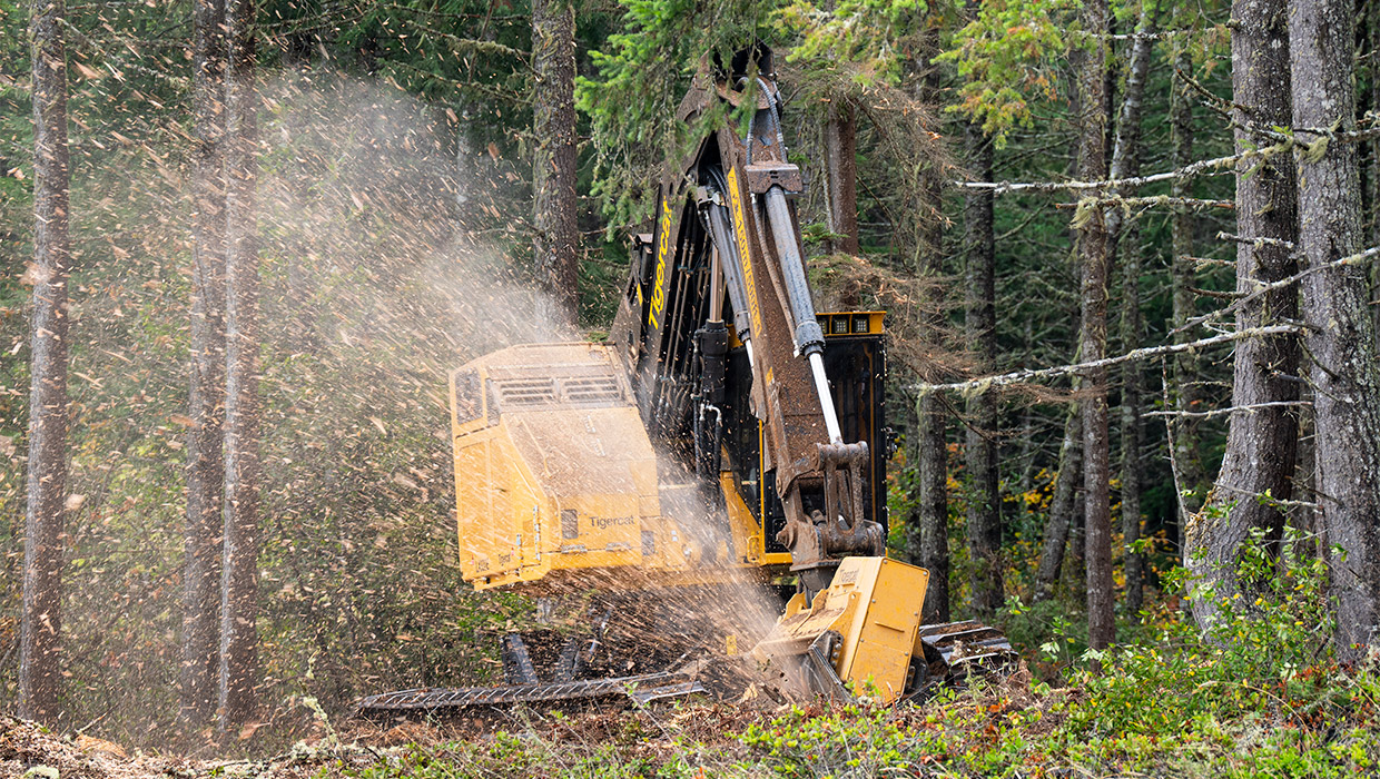 Tigercat LX830E with 4161-15 mulching head working in the field
