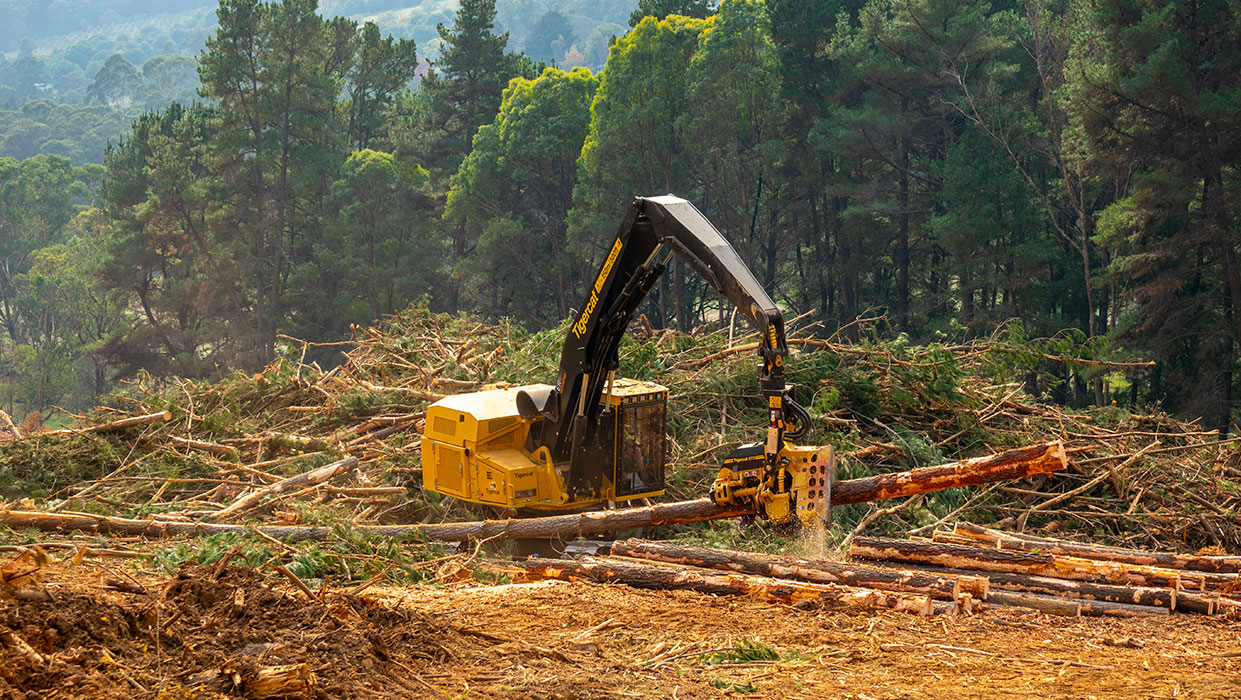 Image of a Tigercat 573 harvesting head working in the field