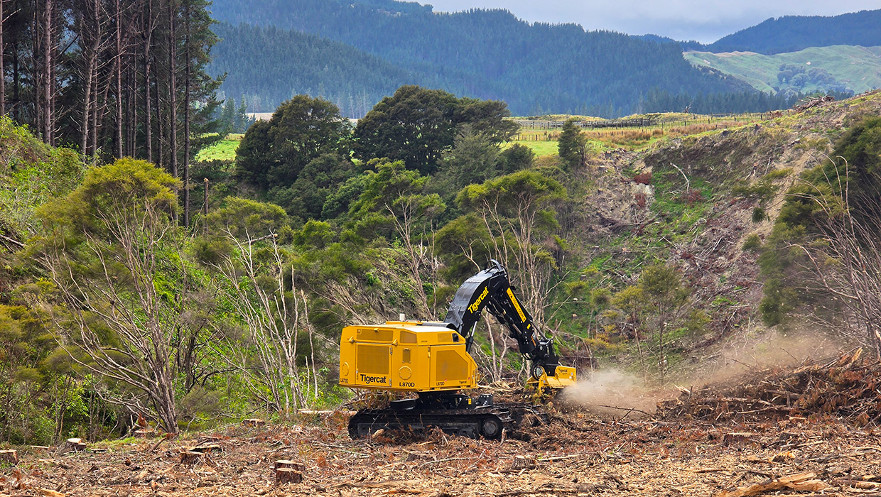 Tigercat L870D equipped with a 4161-15 mulching head working in the field