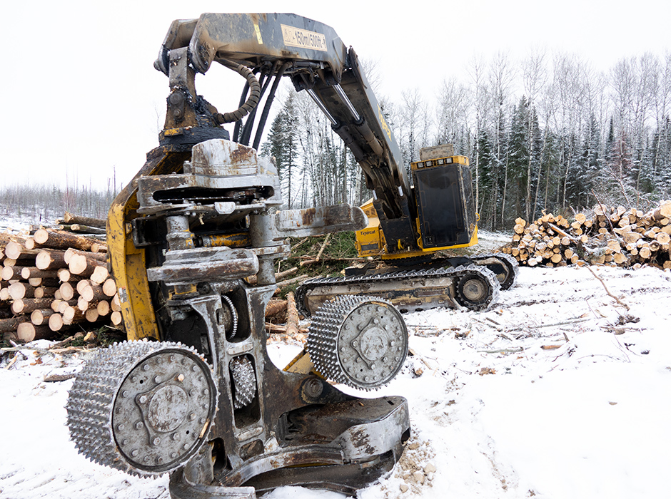 Tigercat harvesting head