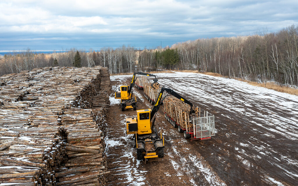 Two Tigercat loaders working in a woodyard.
