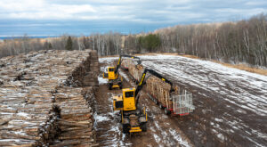 Two Tigercat loaders working in a woodyard.