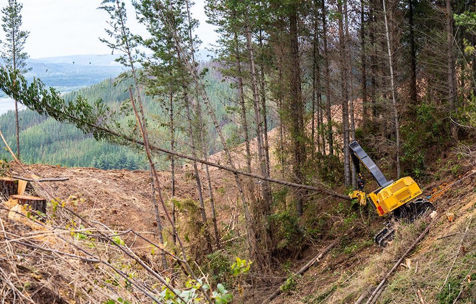 Tigercat LS855E shovel logger in Chile