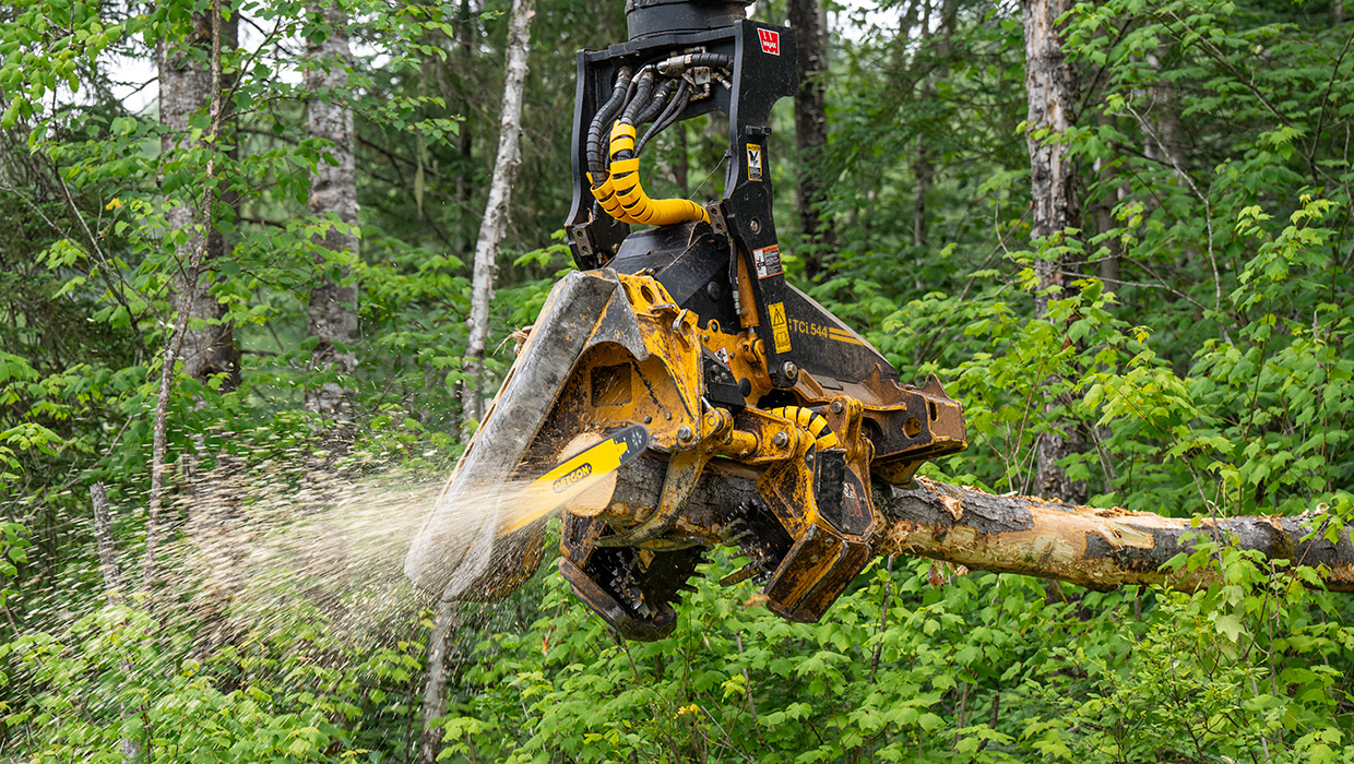 Image of a TCi 544 harvesting head processing timber
