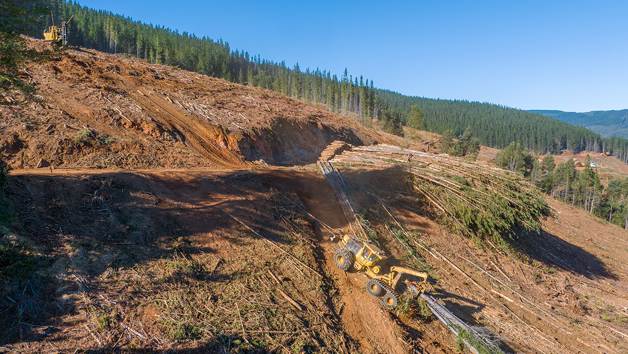 Image of a Tigercat 120 winch assist working in the field