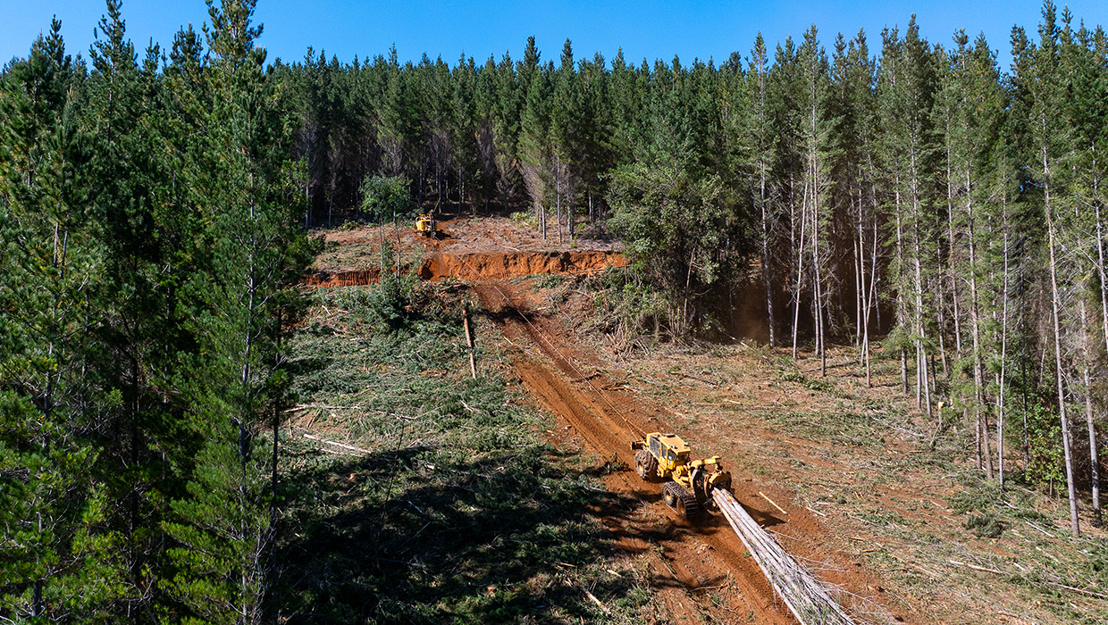 Image of a Tigercat 120 winch assist working in the field