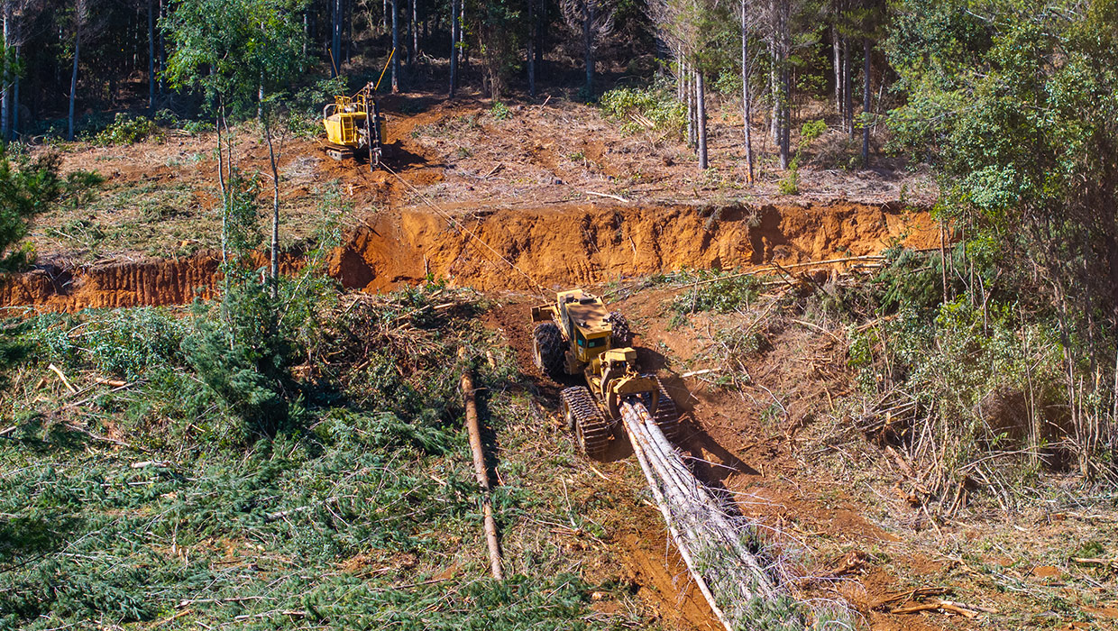 Image of a Tigercat 120 winch assist working in the field