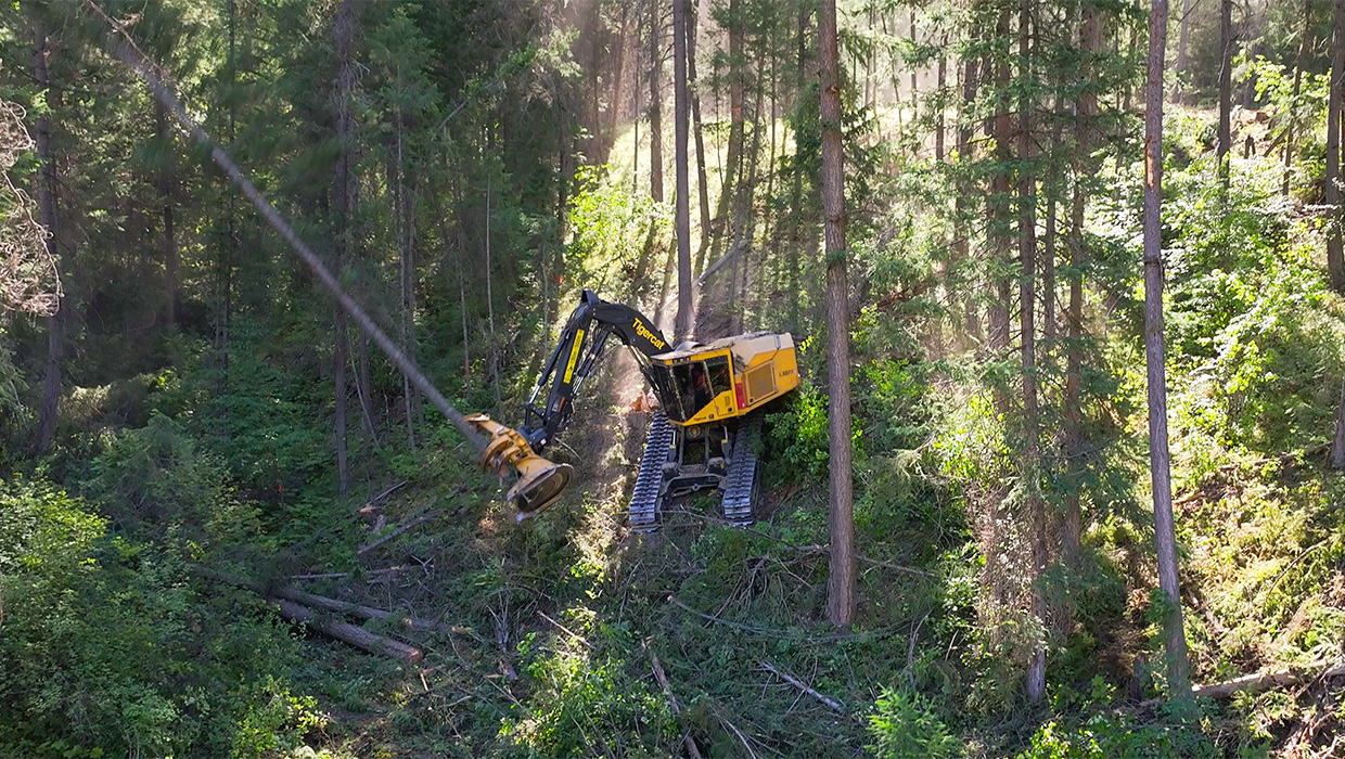 LX877 felling on a slope