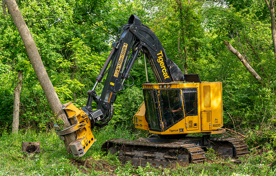Tigercat 822D with fixed felling saw and hard hardwood tree