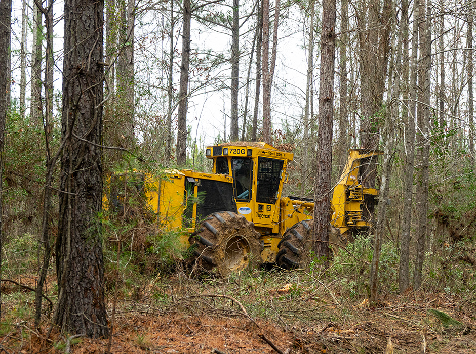 Tigercat 720G feller buncher