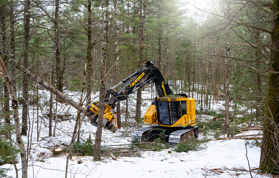 822E selective felling