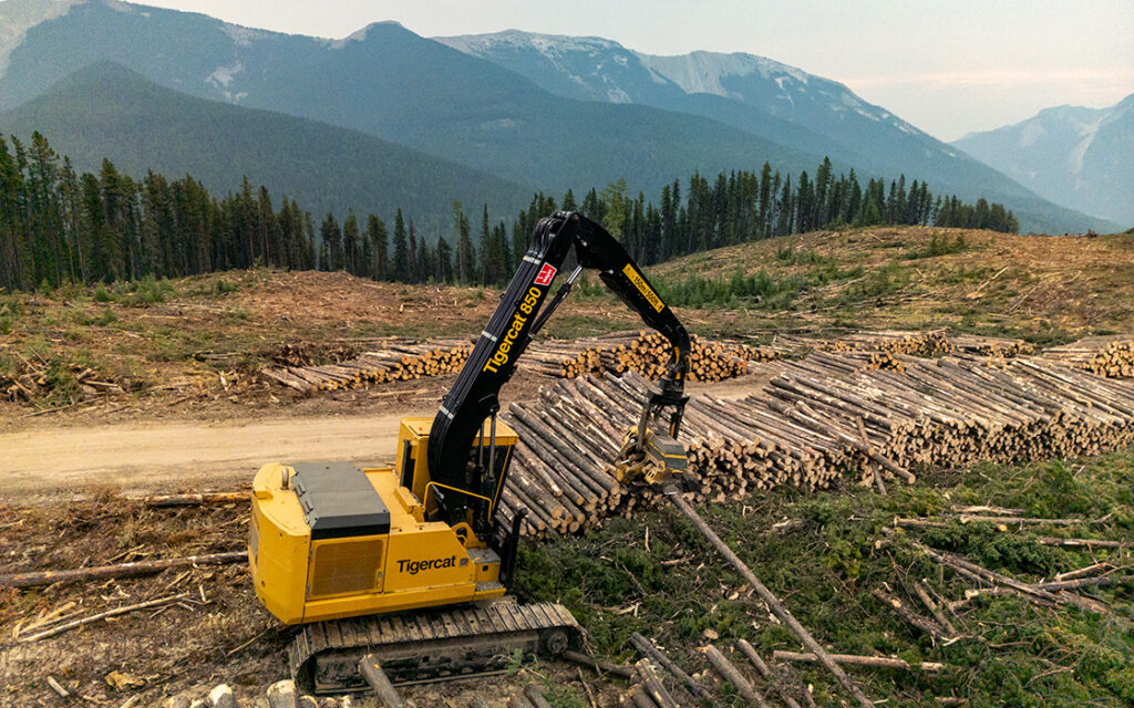 850 processor in the mountains