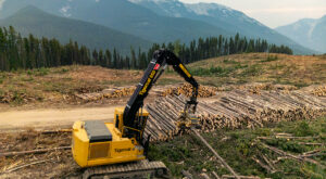 850 processor in the mountains