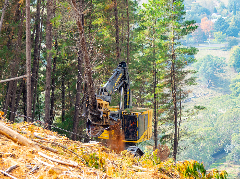 L822D with 2000 series Tigercat shear on a hillside.