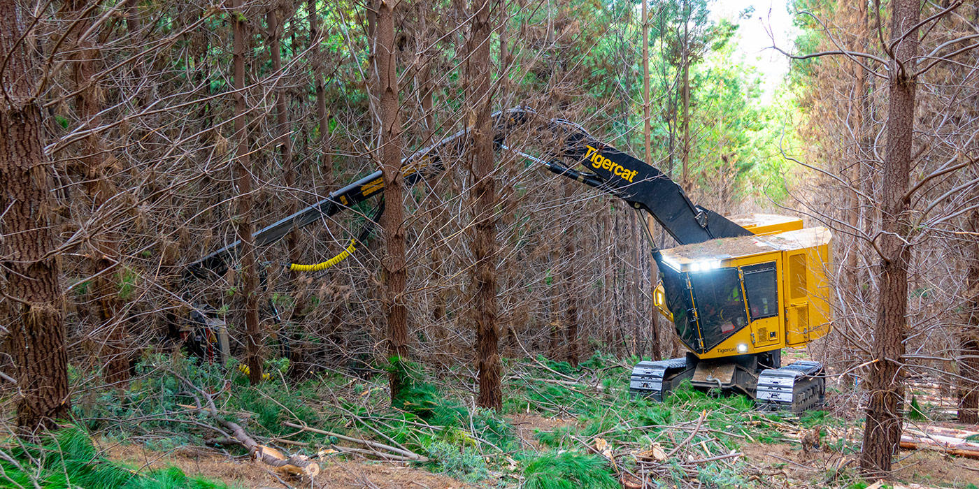 LH822D with telescopic boom reaching into timber stand