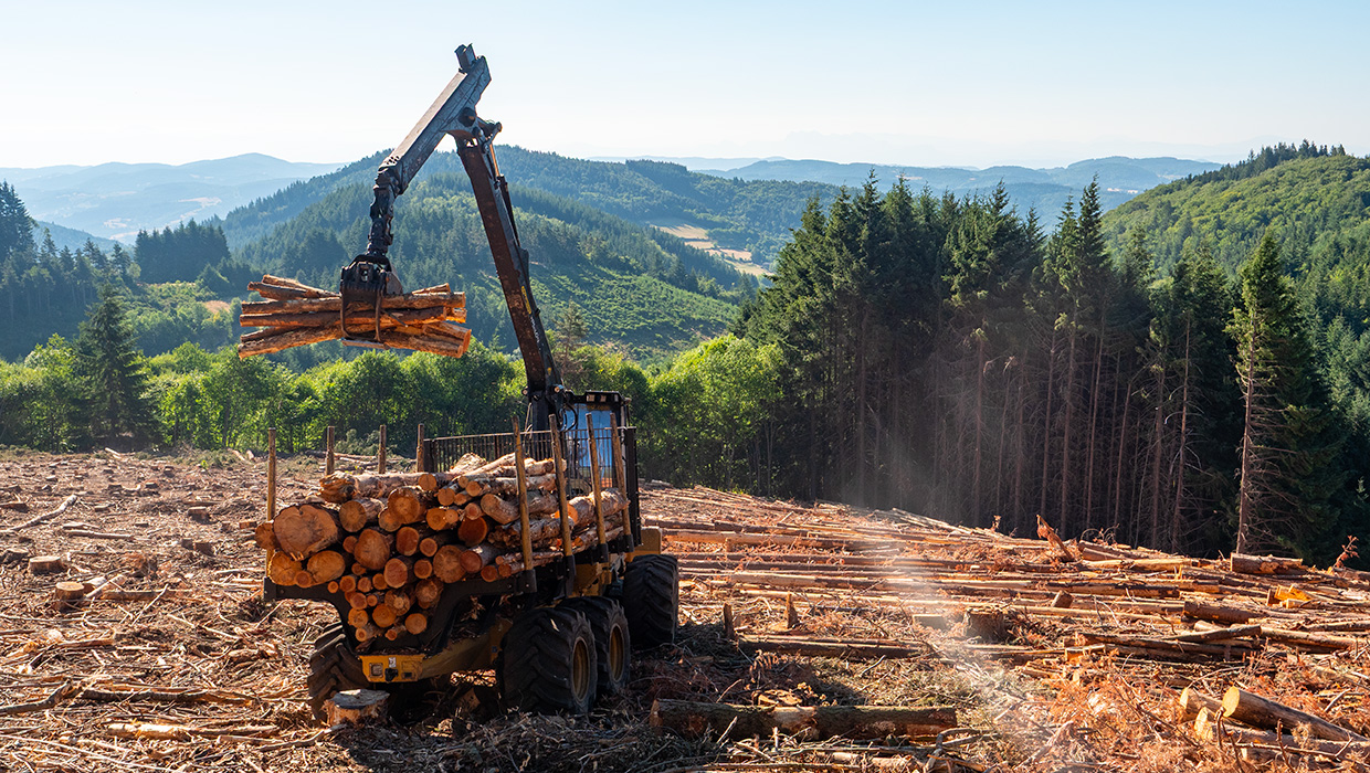 Image of a TCi 1055D forwarder working in the field