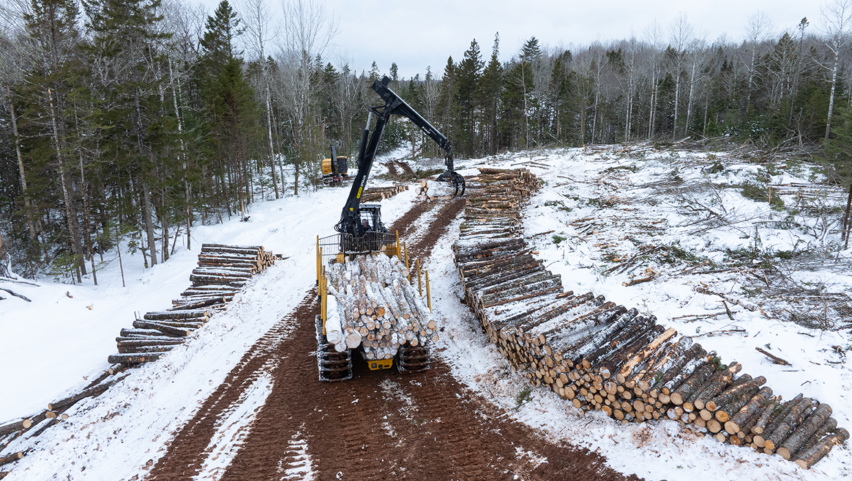 Tigercat 1055D forwarder in the field