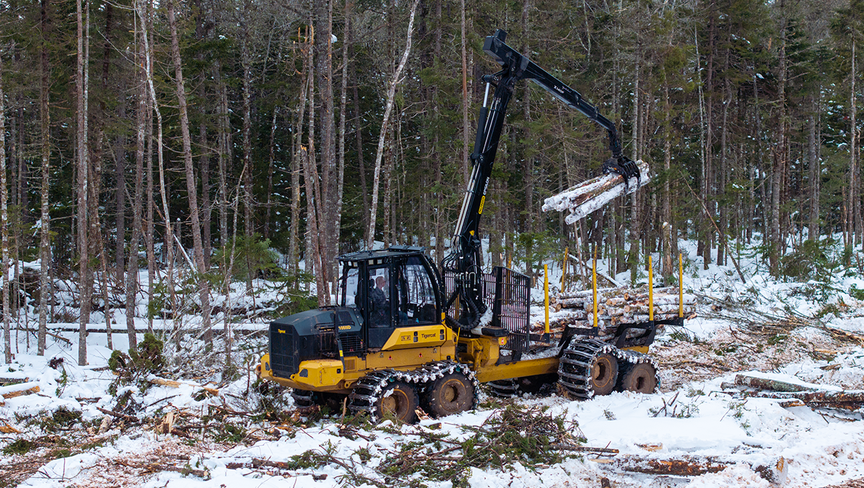 Tigercat 1055D forwarder in the field