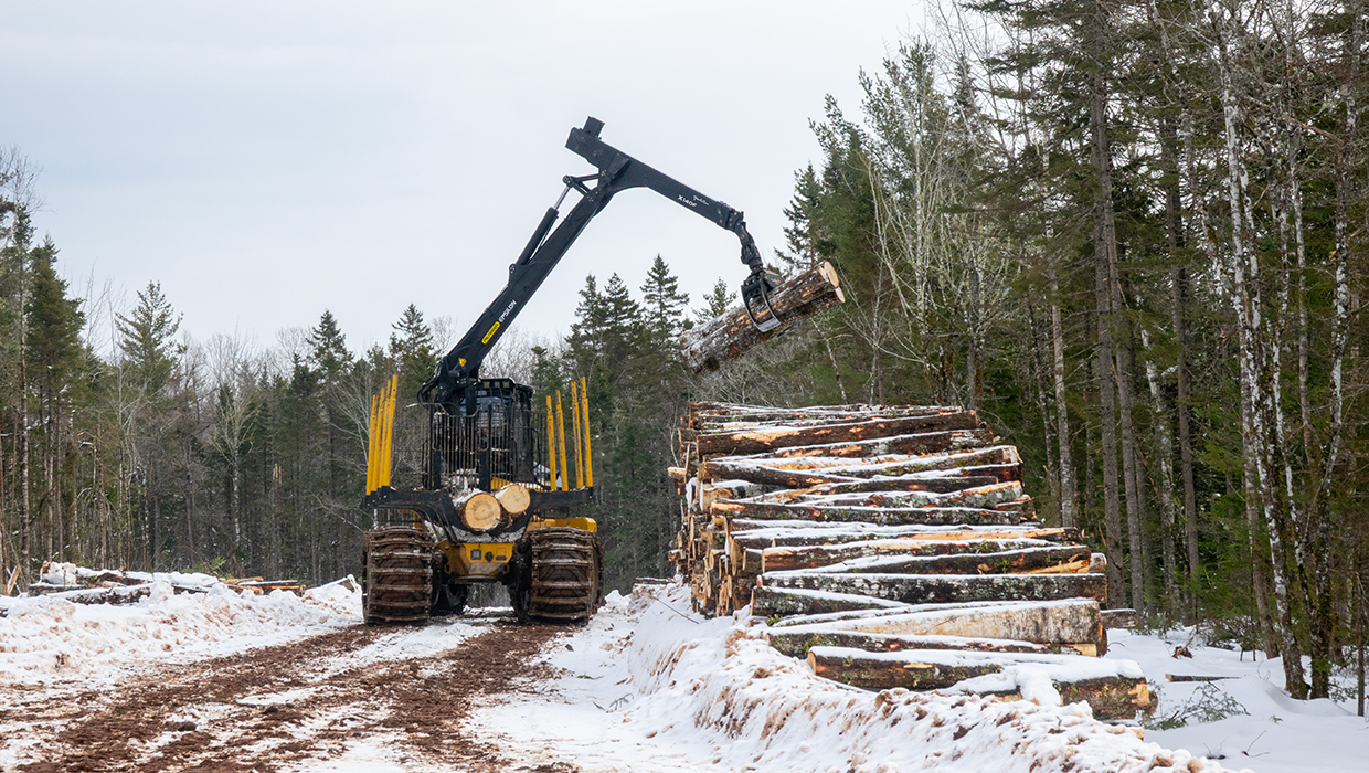 Tigercat 1055D forwarder in the field