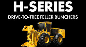 Image of an H-series drive to tree feller buncher