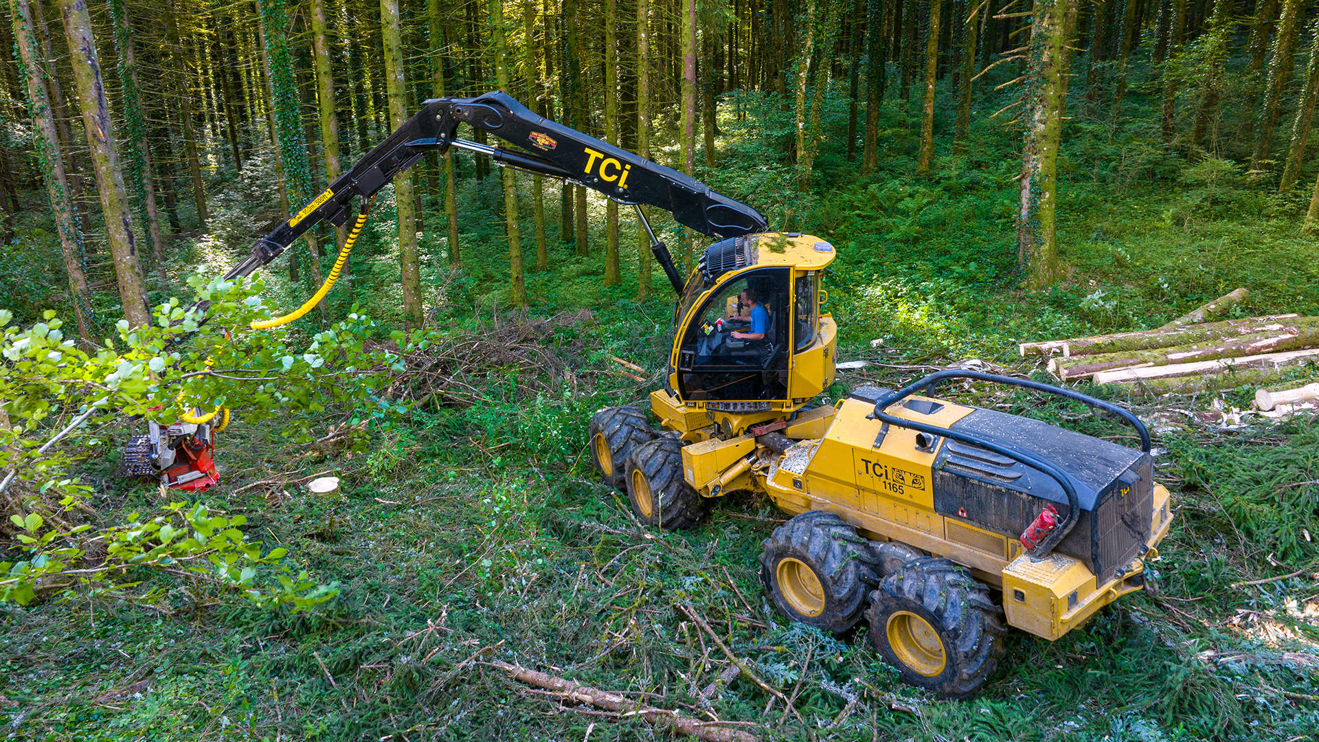 か*と様 Head Power HOUSE 155 ドラクダケ付き Head Power HOUSE 155 ドラクダケ付き