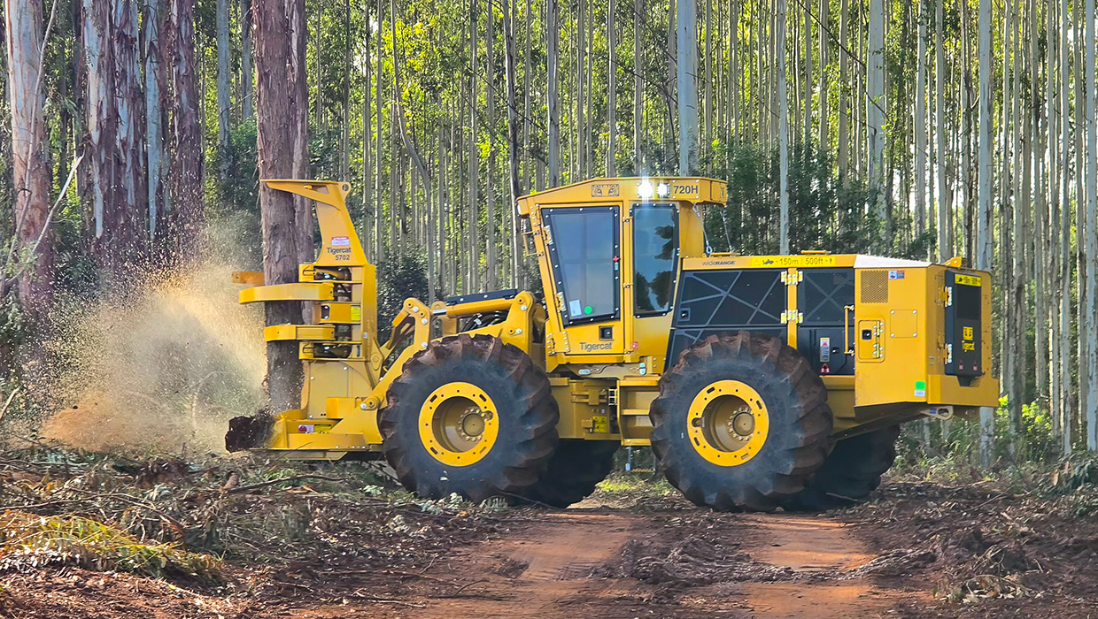 Image of a Tigercat 720H feller buncher working in the field.