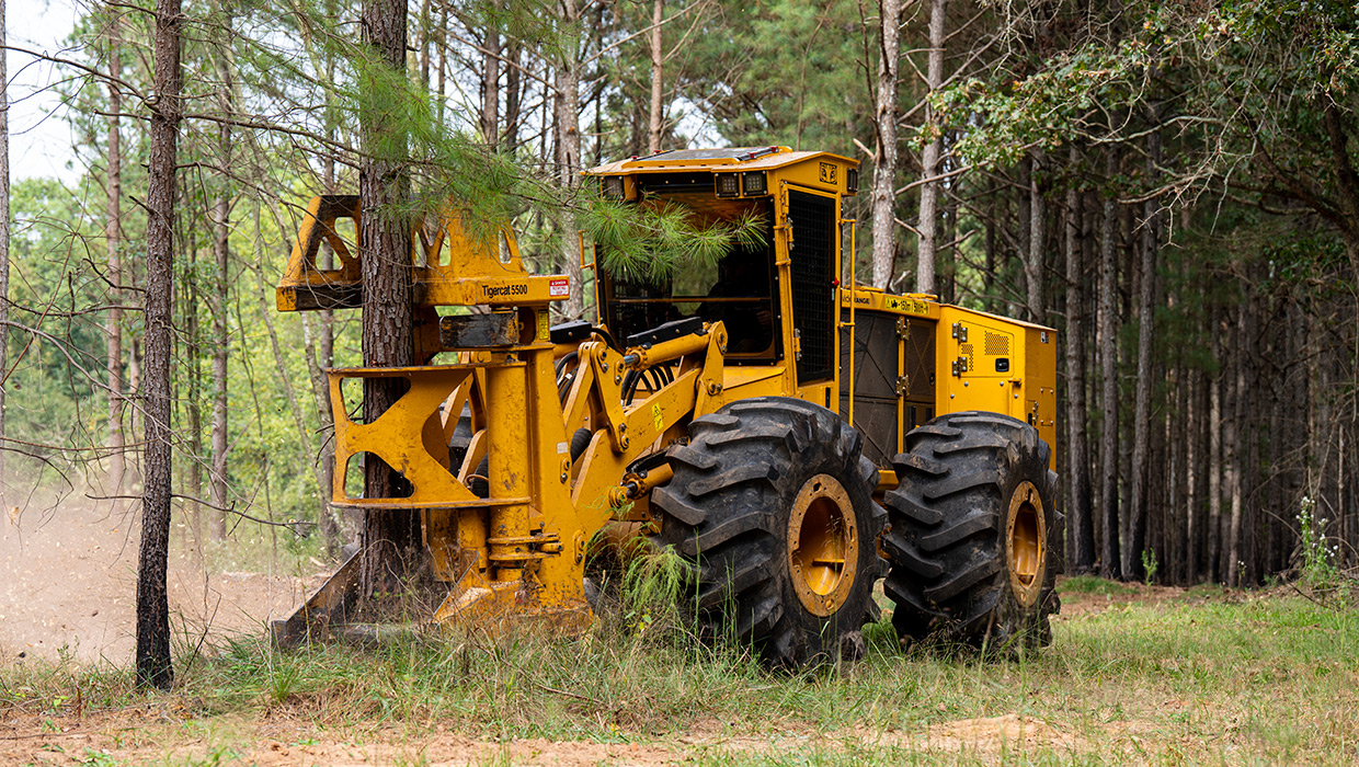 Image of a Tigercat 724H feller buncher working in the field
