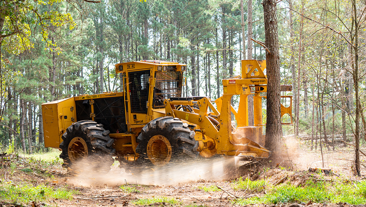 Tigercat 724H wheel feller buncher working in the field