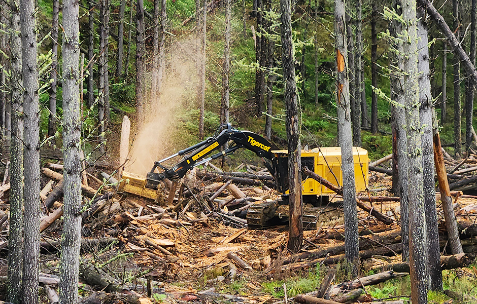O pacote com mulcher L870D/4161-15 na Nova Zelândia