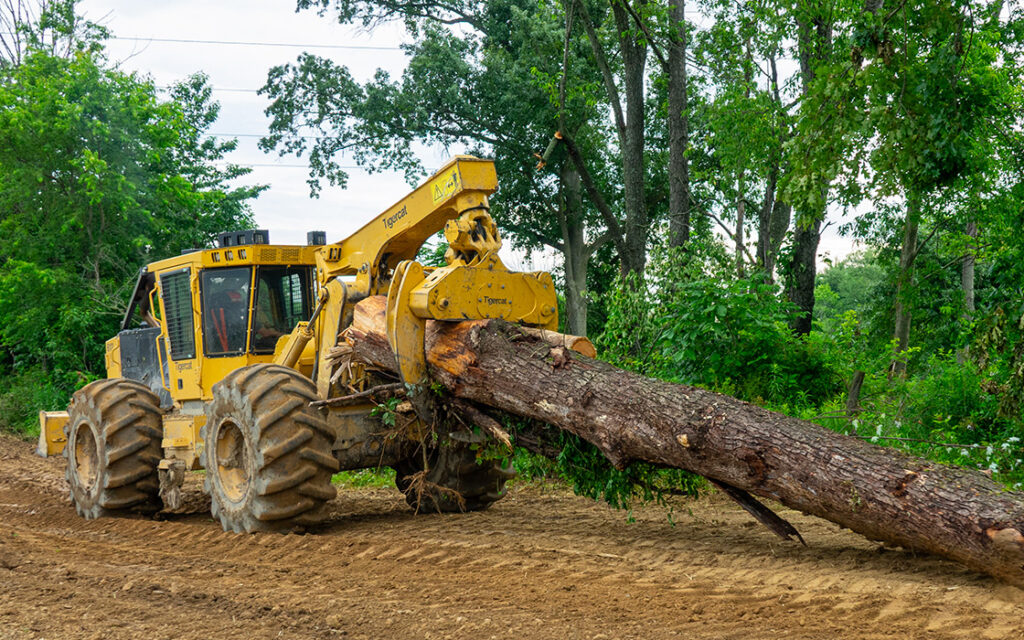 The Tigercat 612 skids large hardwood in a blowdown cleanup job in Ohio.