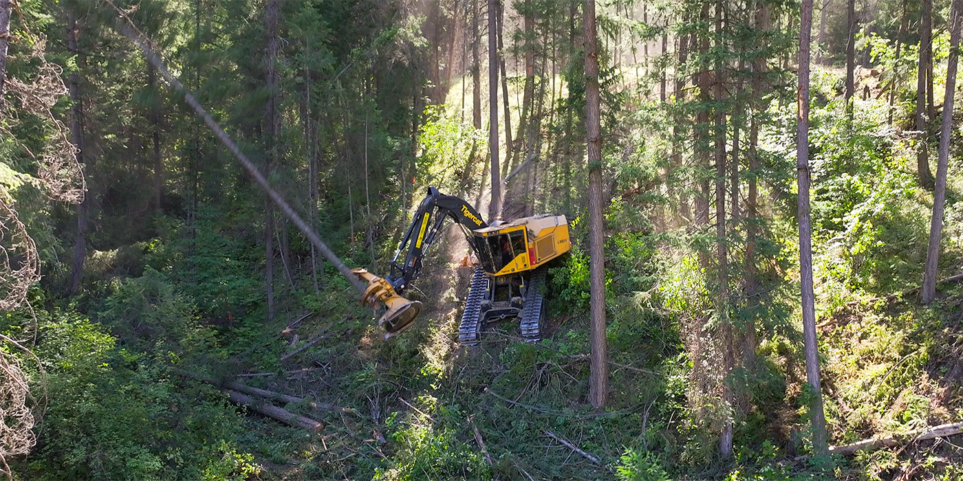 Tigercat LX877 feller buncher