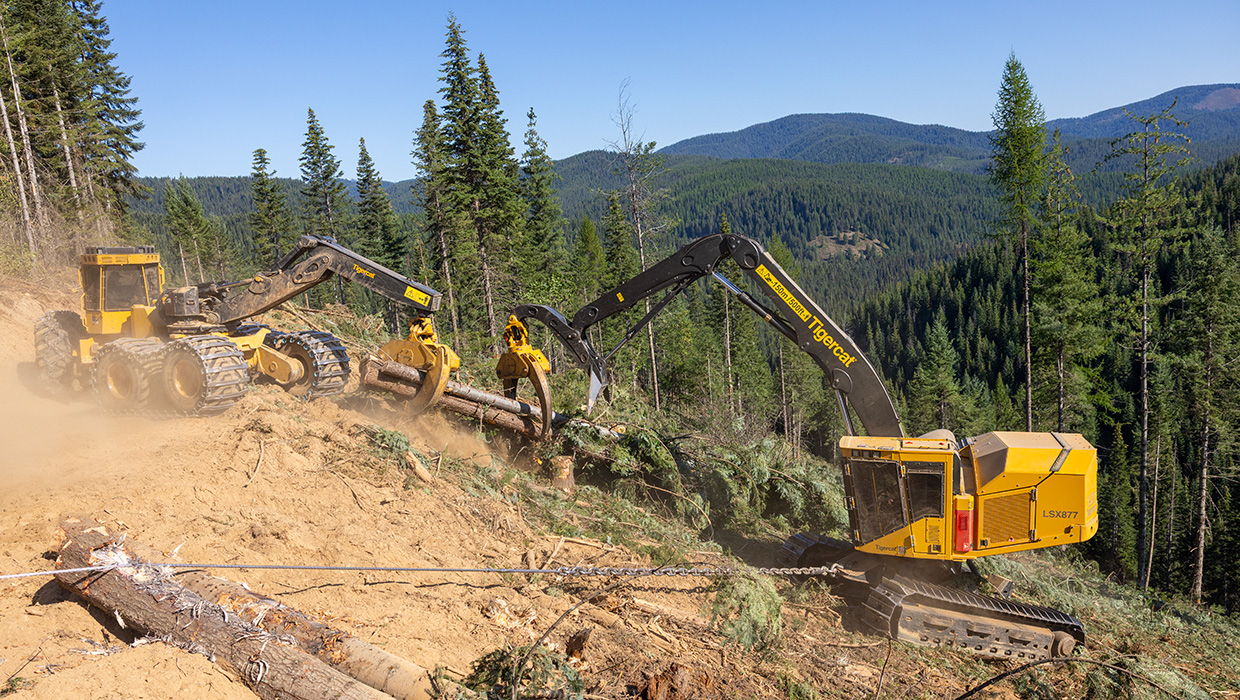 Tigercat LSX877 shovel logger working in steep terrain