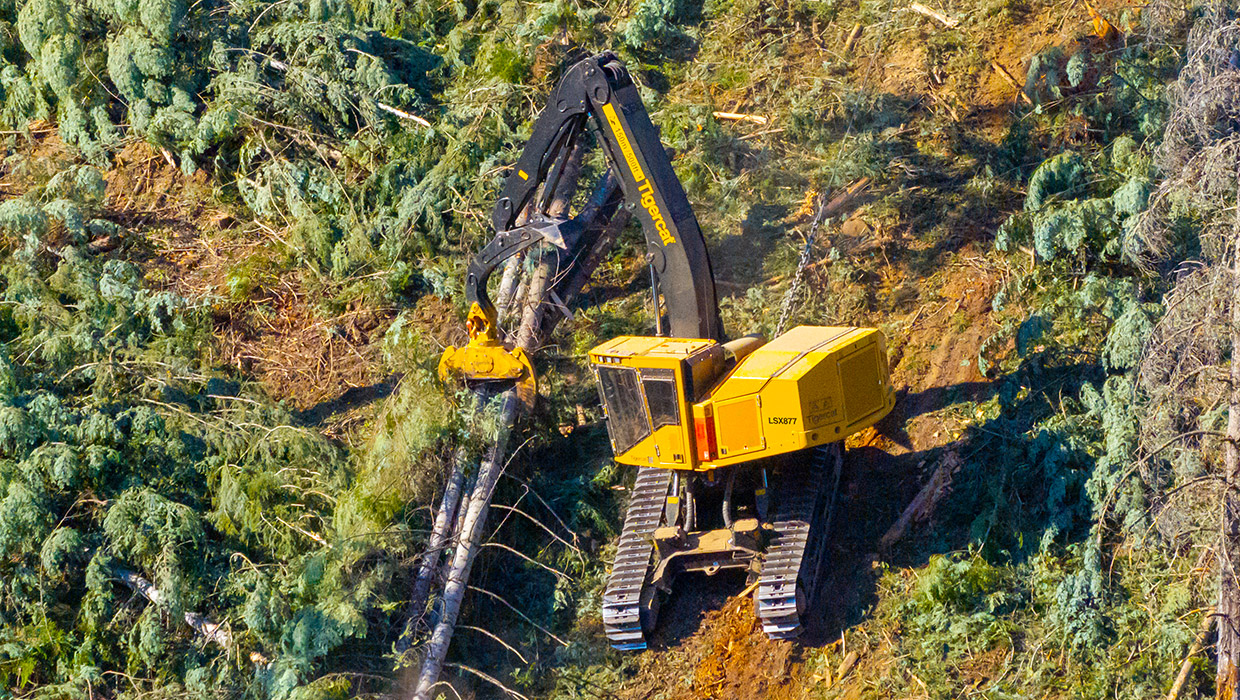 Tigercat LSX877 shovel logger working in steep terrain