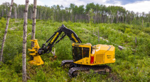 Image of a Tigercat X877 feller buncher working in the field