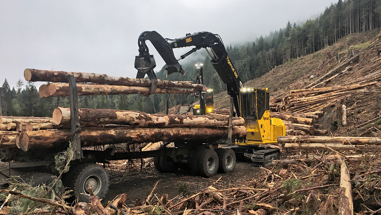 Image of a Tigercat 890 logger working in the field