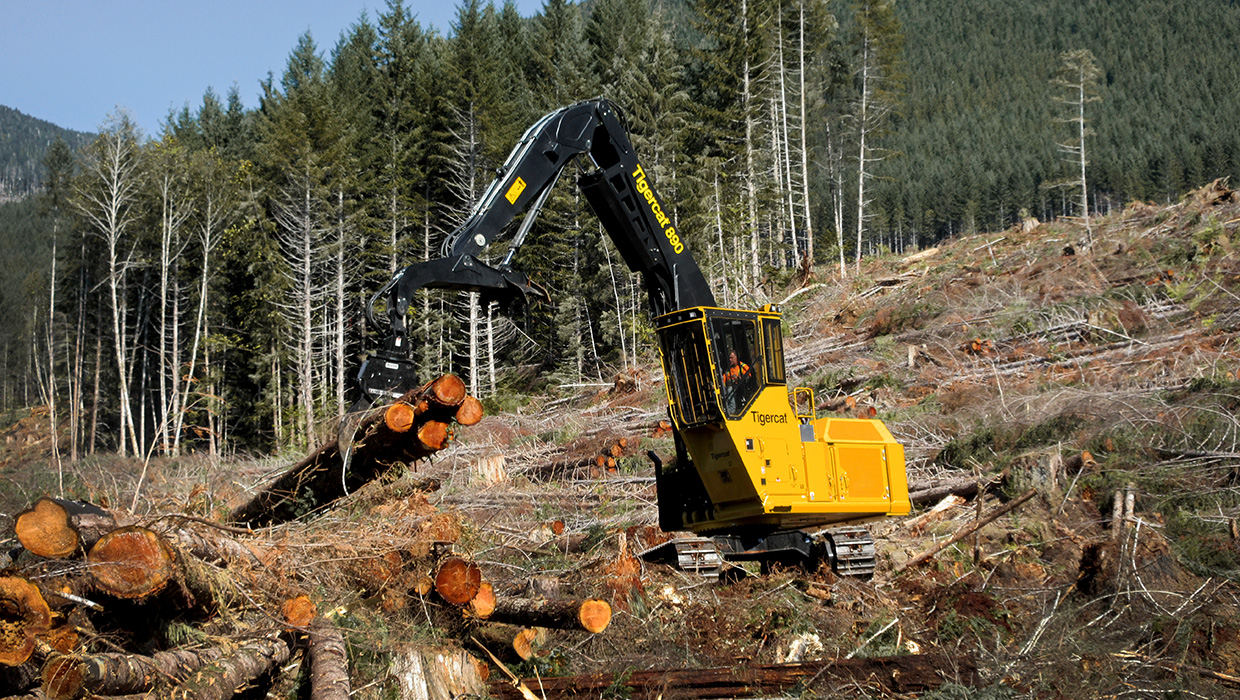 Image of a Tigercat 890 logger working in the field