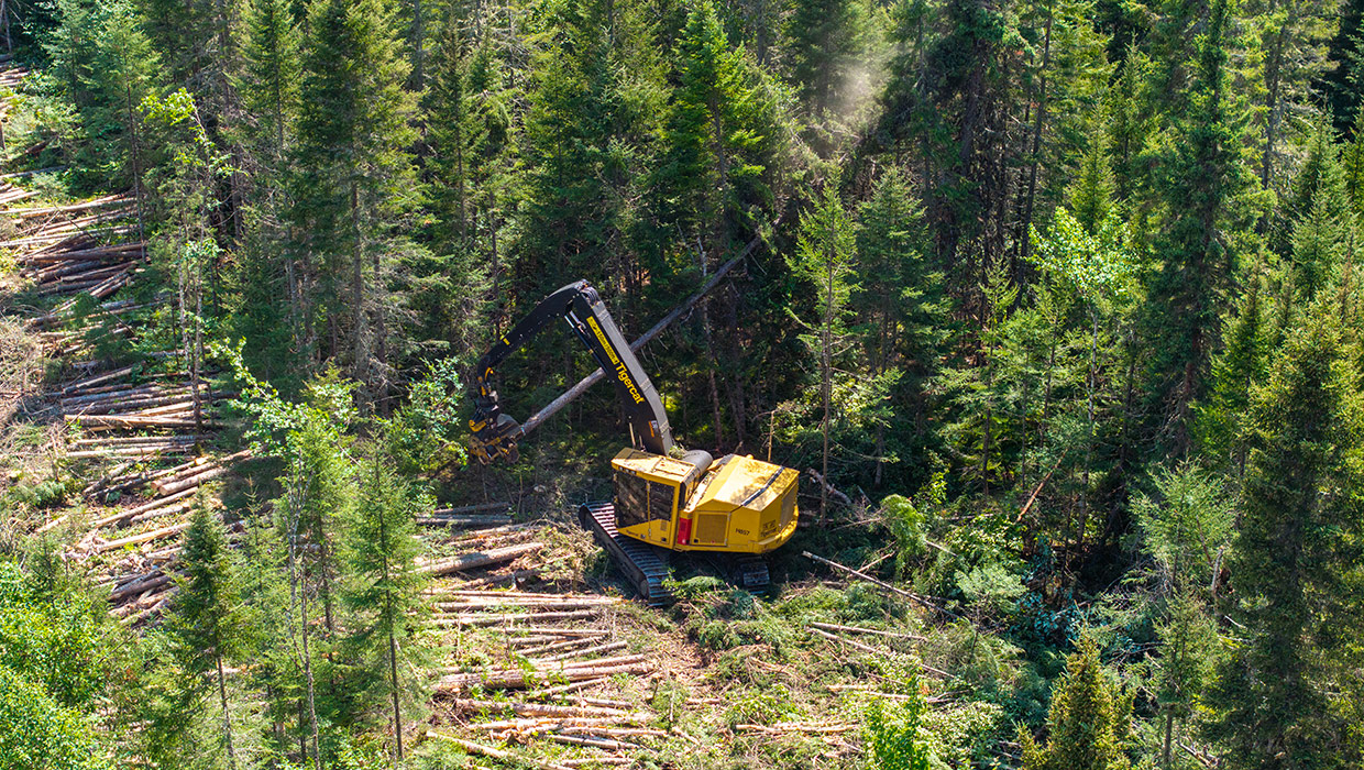 Image of a Tigercat H857 harvester working in the field