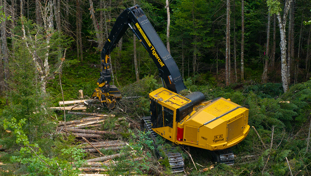 Image of a Tigercat H857 harvester working in the field