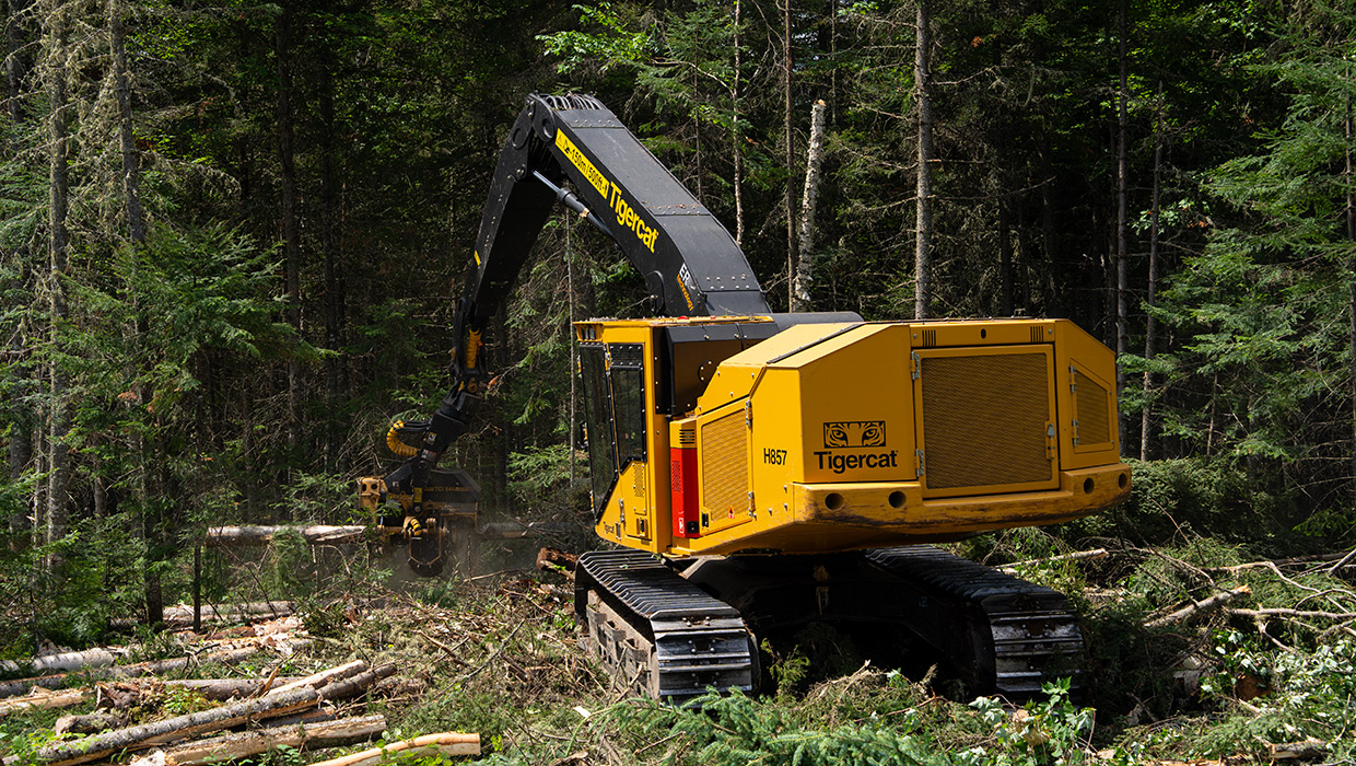 Image of a Tigercat H857 harvester working in the field