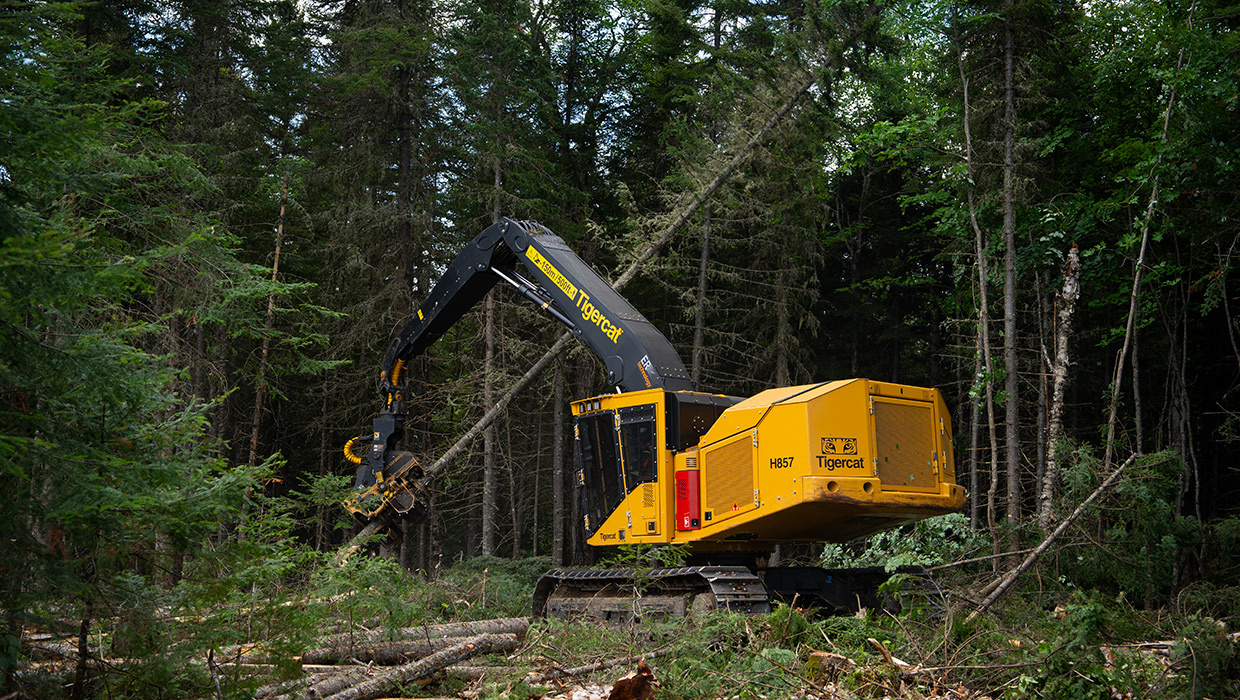 Image of a Tigercat H857 harvester working in the field