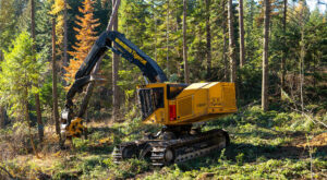 Image of a LS857 shovel logger working in the field