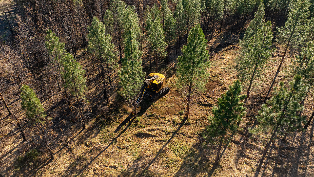 Image of a Tigercat LX825 working in the field