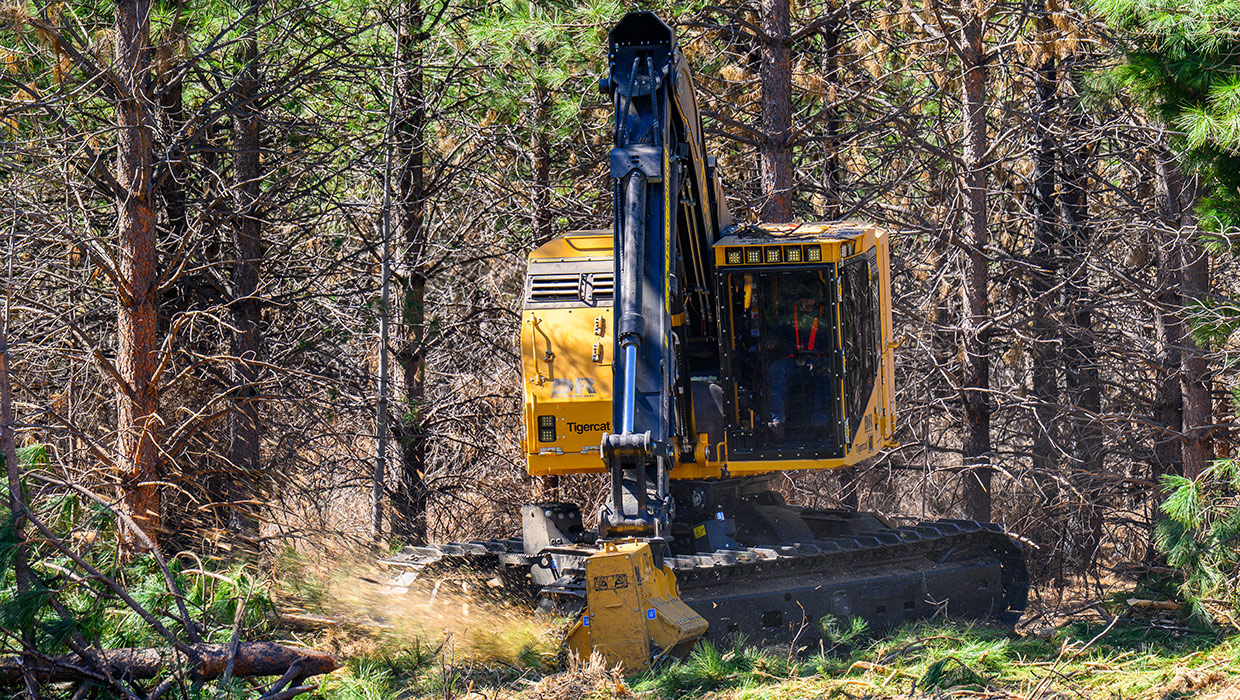 Image of a Tigercat LX825 working in the field