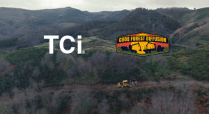 A TCi skidder working in France